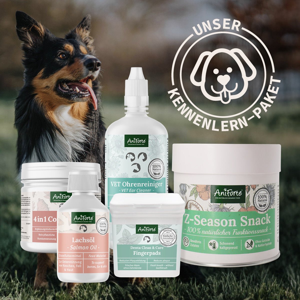 AniForte® Kennenlernpaket für Hunde - AniForte