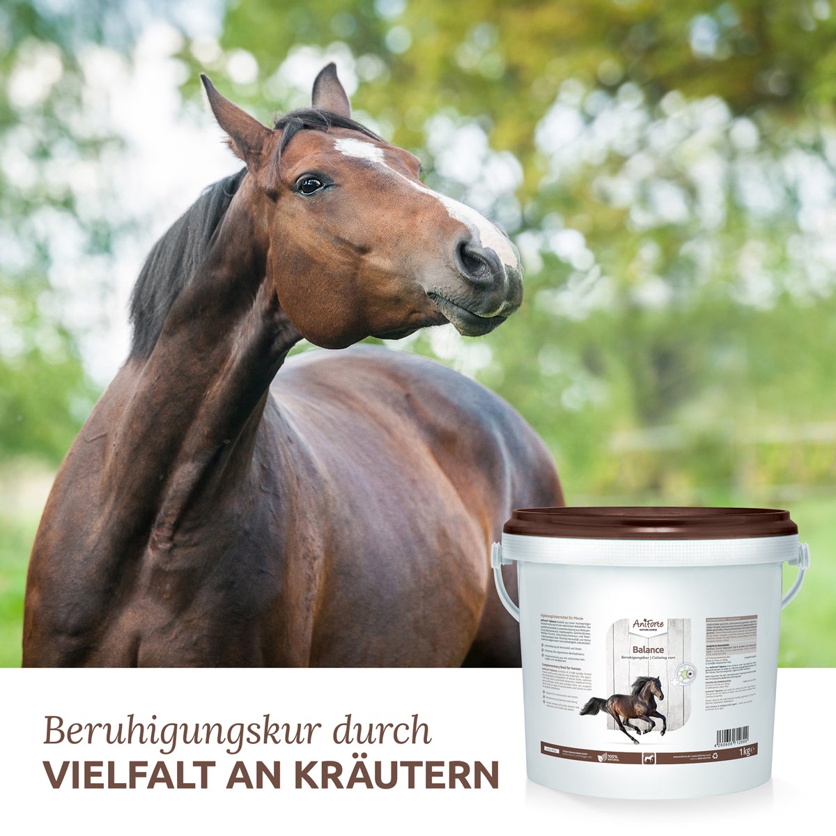 Balance - Natürliche Beruhigung - AniForte