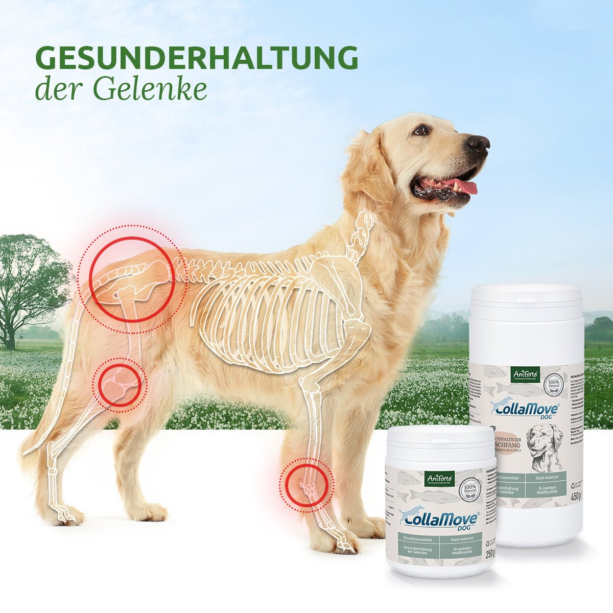 CollaMove® dog - AniForte