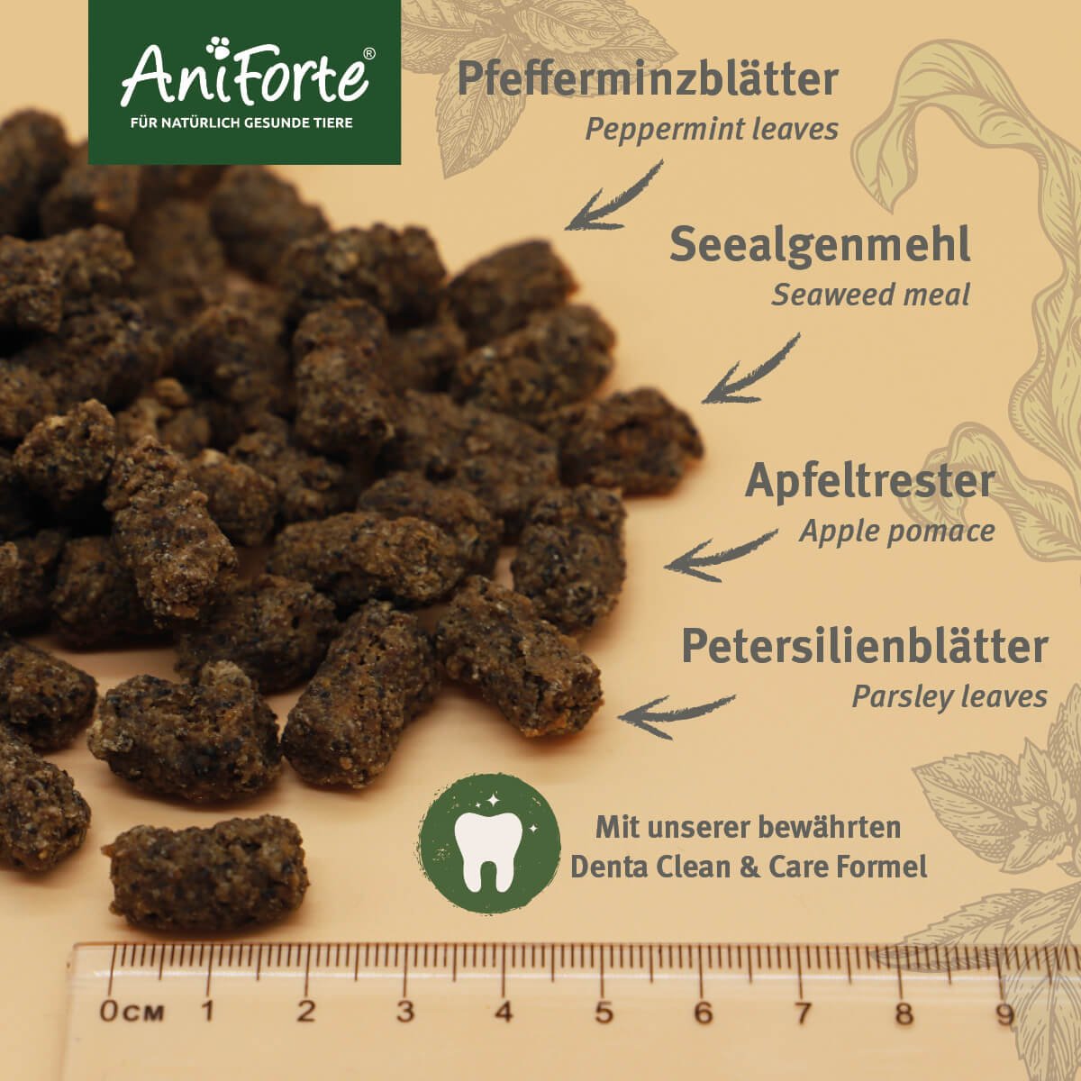 Denta-Snack bestehend aus Pfefferminzblättern, Seealgenmehl, Apfeltrester & Petersilienblätter- AniForte