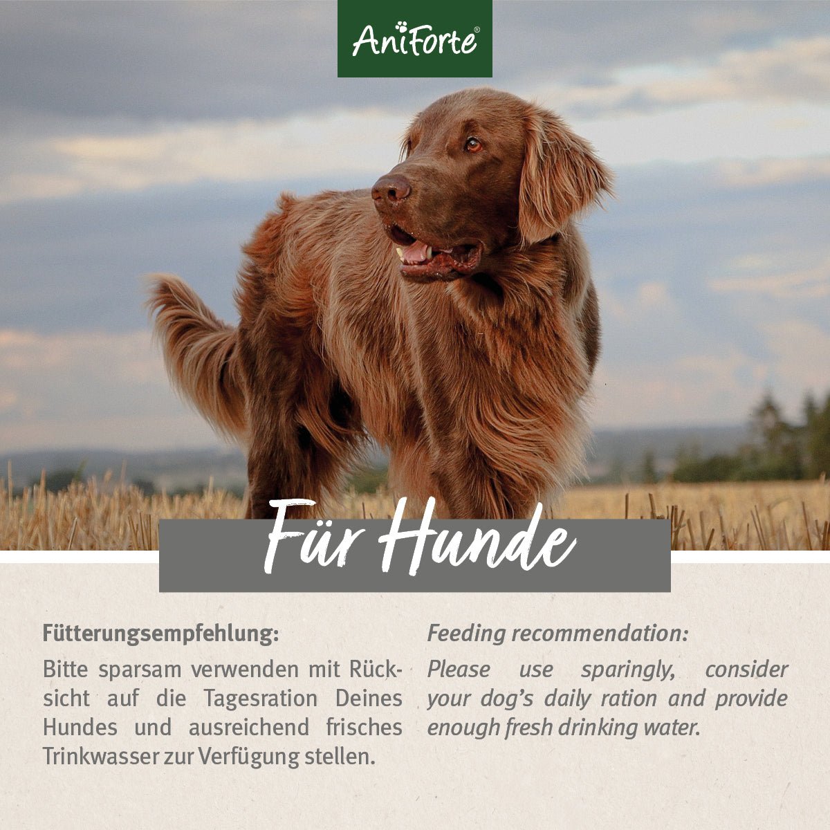 Dog Snacks Huhn - AniForte