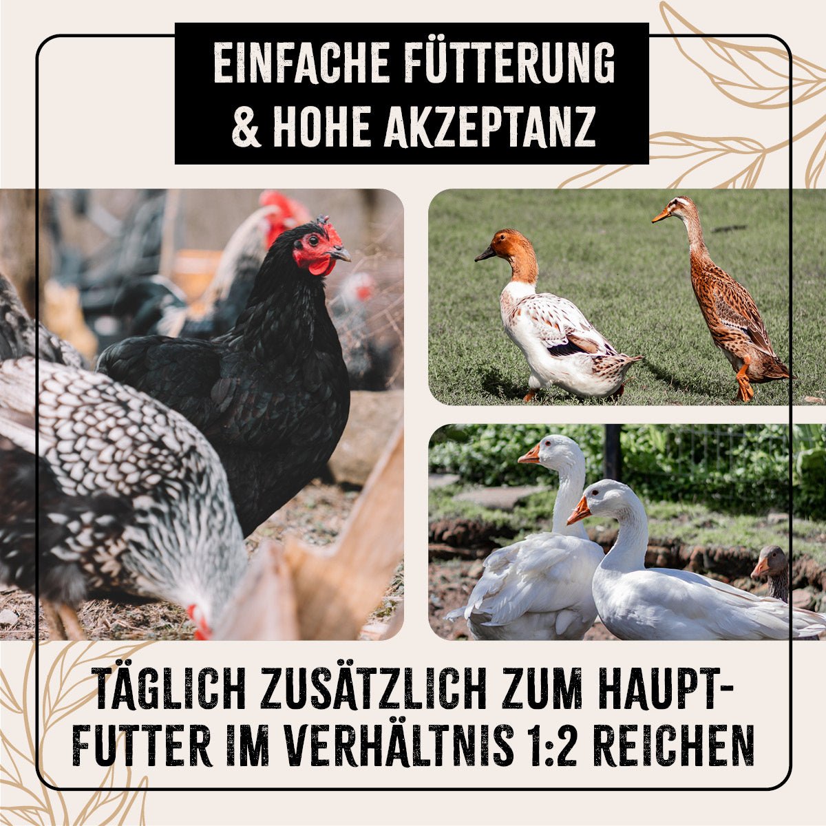 FarmLife Geflügel Körner Auslese - AniForte