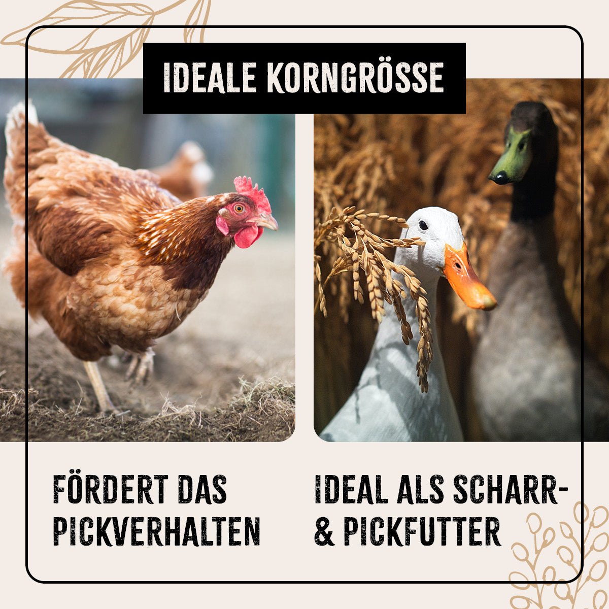 FarmLife Geflügel Körner Auslese - AniForte