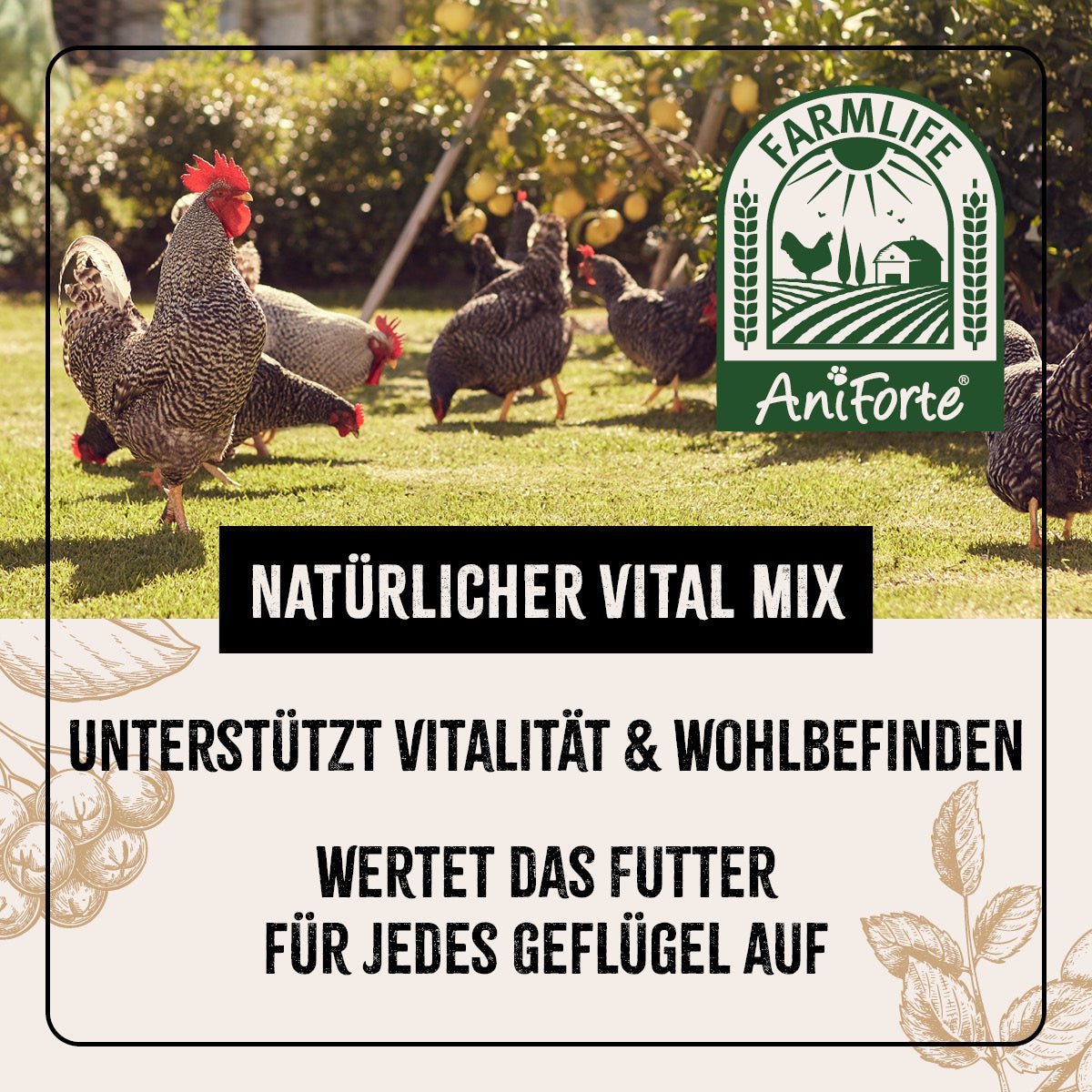 FarmLife Geflügel Vital Mix Pulver - AniForte