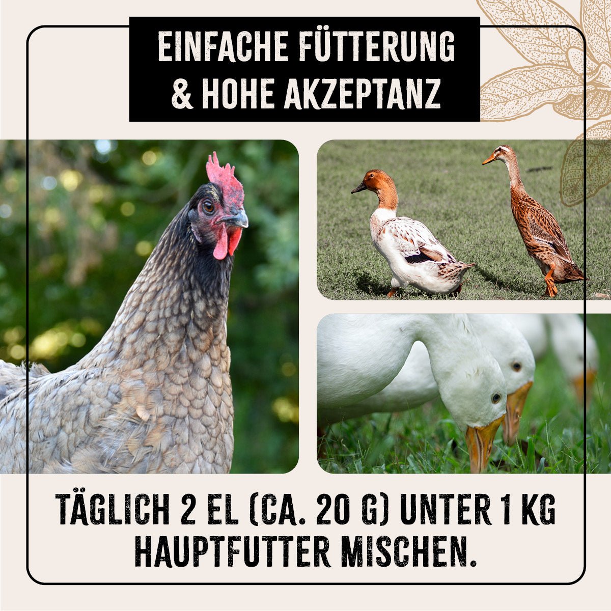 FarmLife Geflügel Wohlfühlkräuter - AniForte