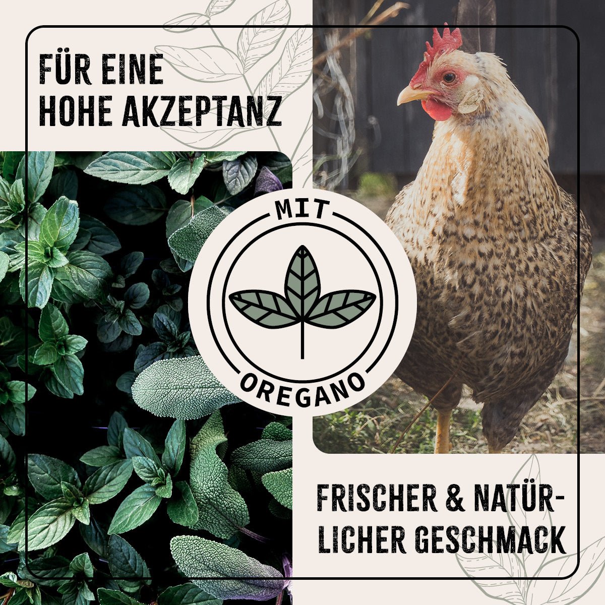 FarmLife Hühner Futter Mix mit Oregano - AniForte