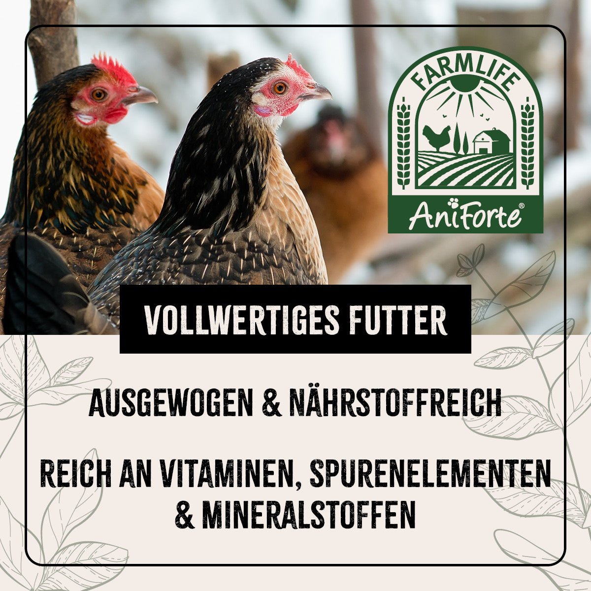 FarmLife Hühner Futter Mix mit Oregano - AniForte