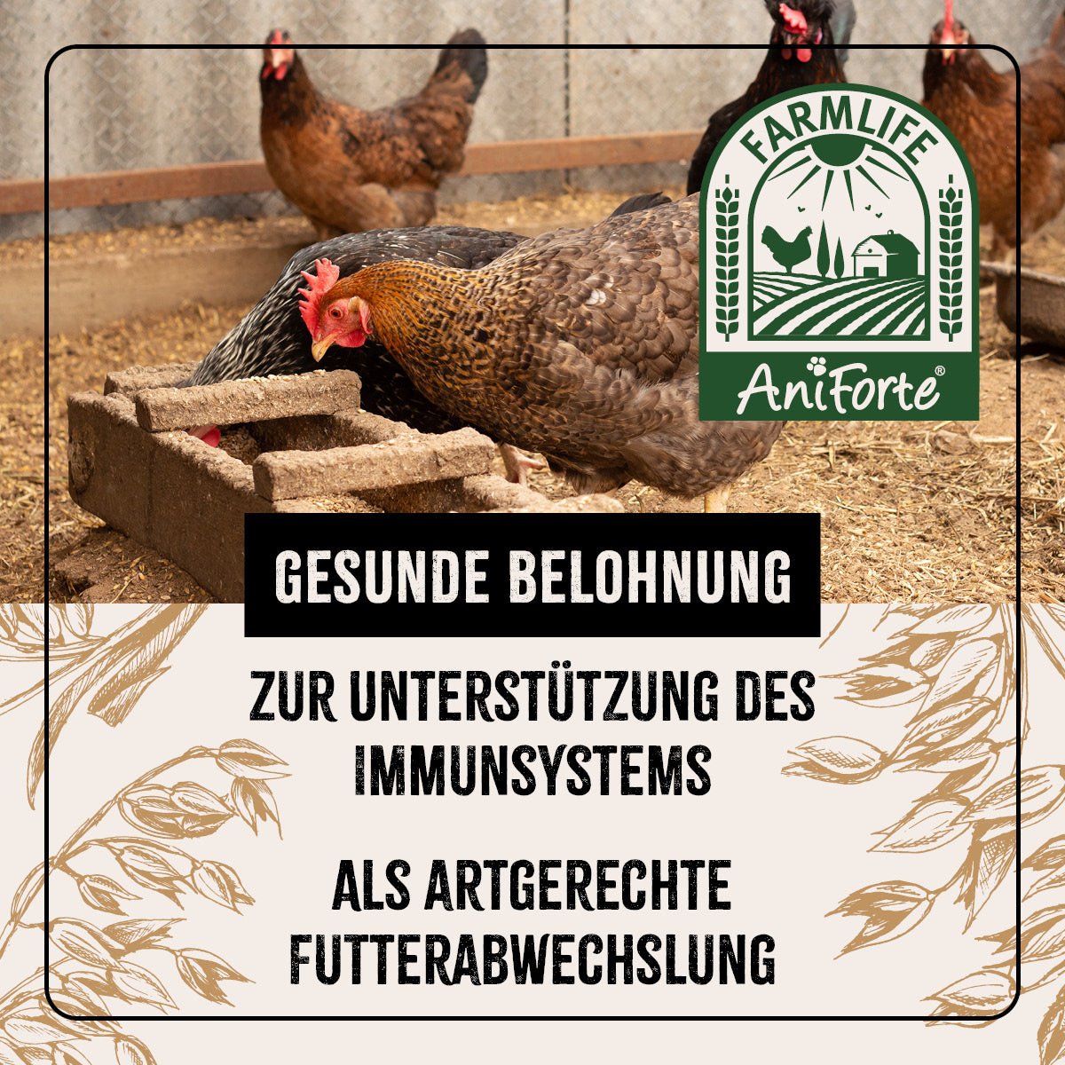 FarmLife Hühnertraum - AniForte