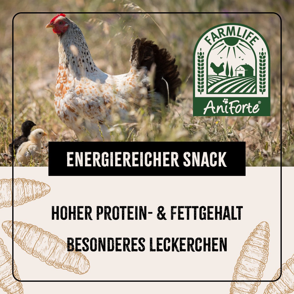 FarmLife Soldatenfliegenlarven - AniForte