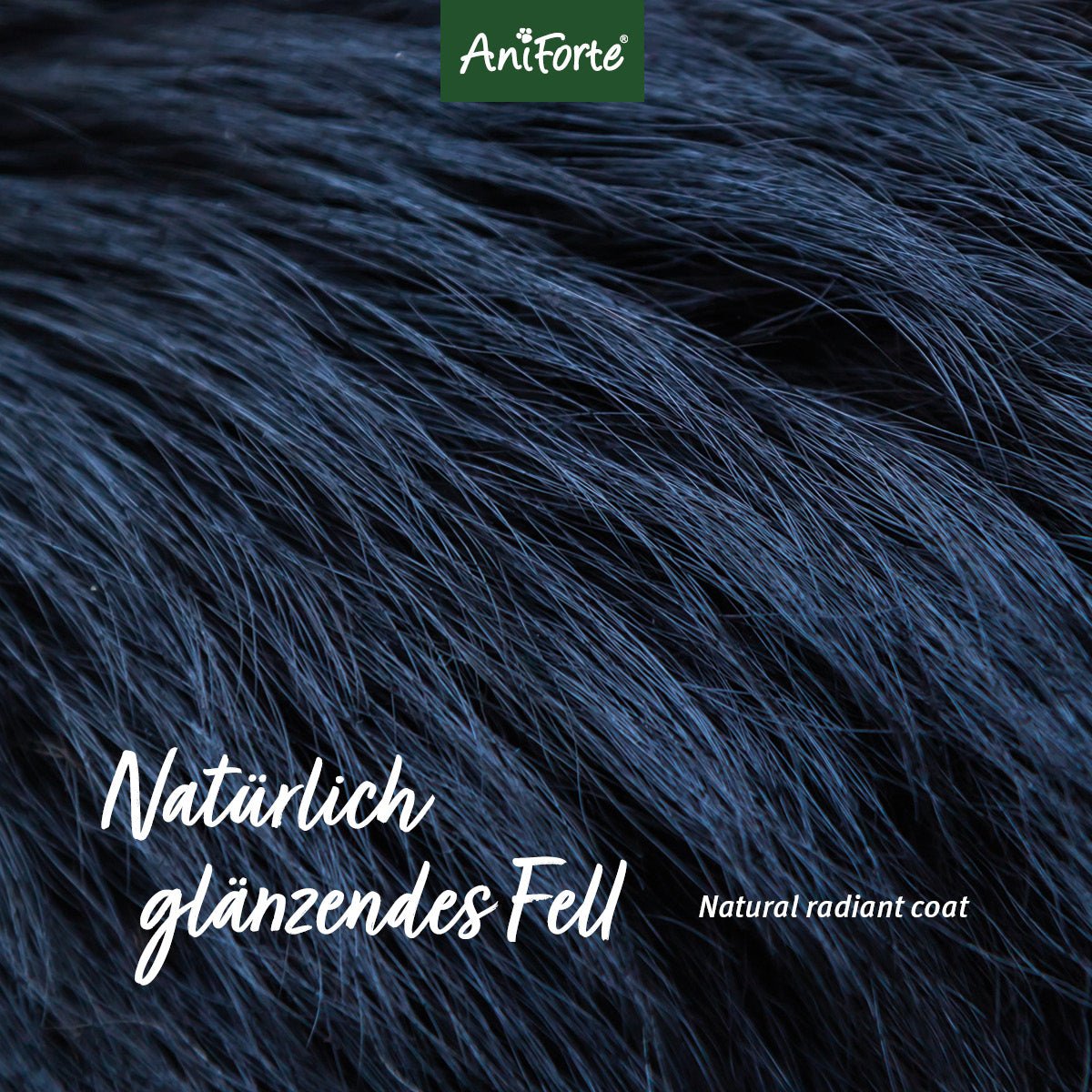 Fellharmonie Conditioner Sensitiv - AniForte