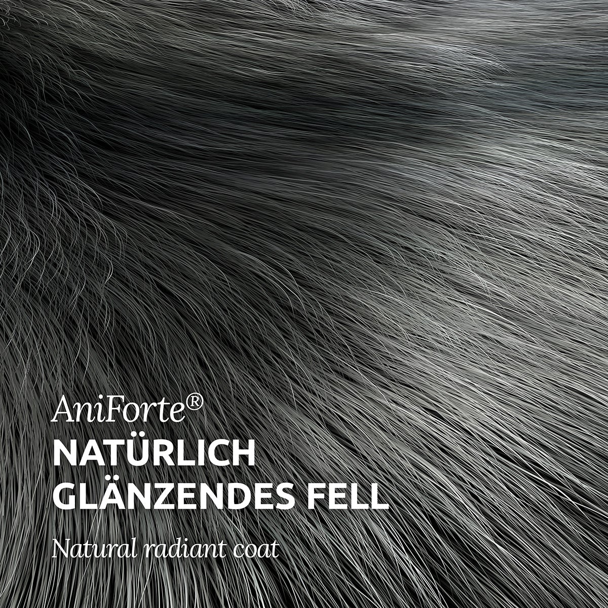 Fellharmonie Futteröl - AniForte