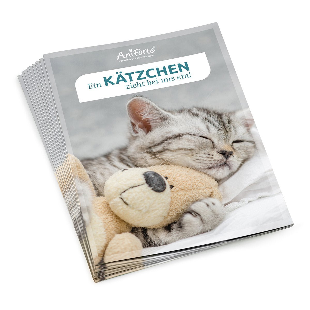 Flyer | Ein Kätzchen zieht bei uns ein! - AniForte