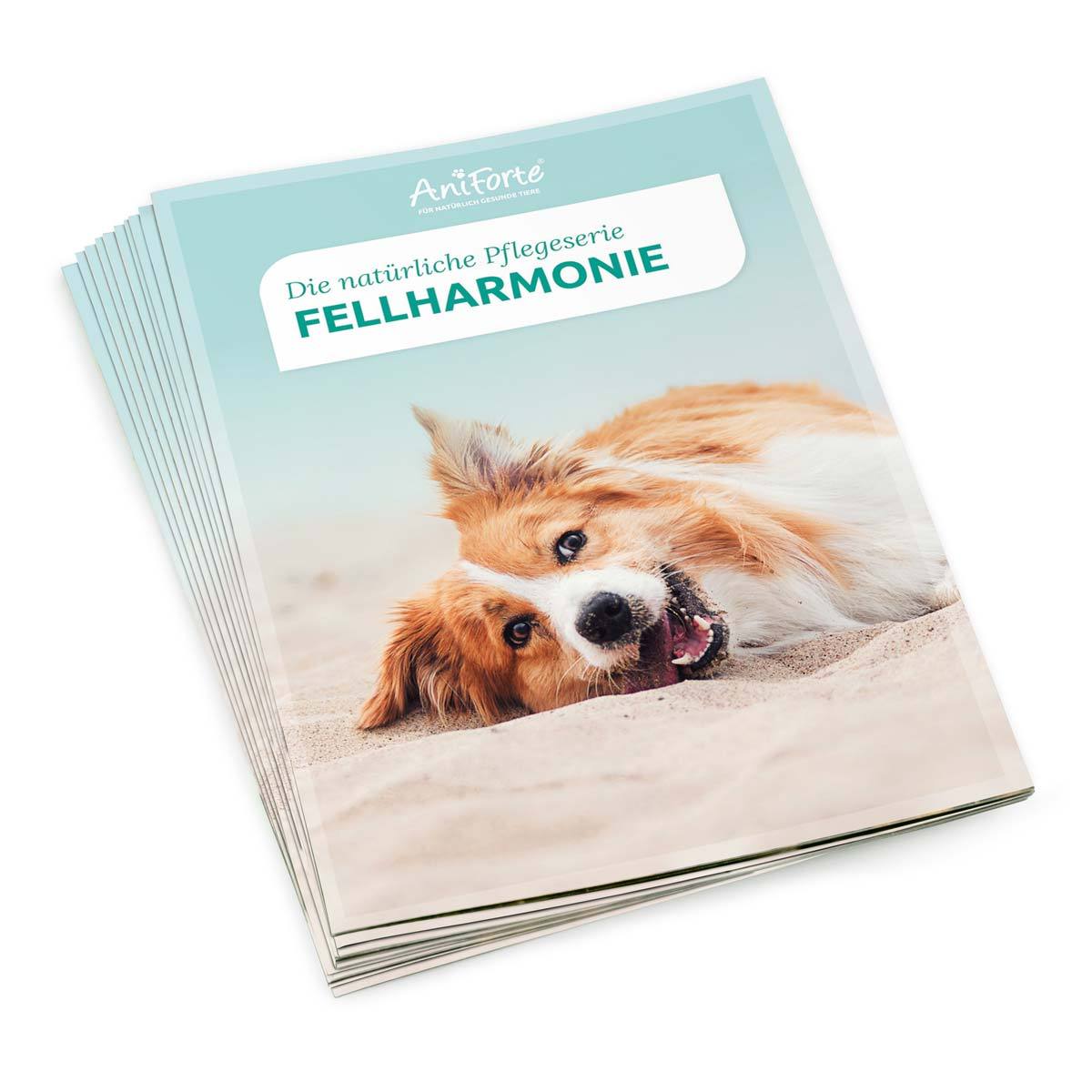 Flyer | Fellharmonie - AniForte