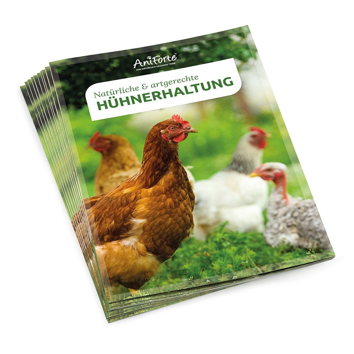 Flyer | Natürliche & artgerechte Hühnerhaltung - AniForte