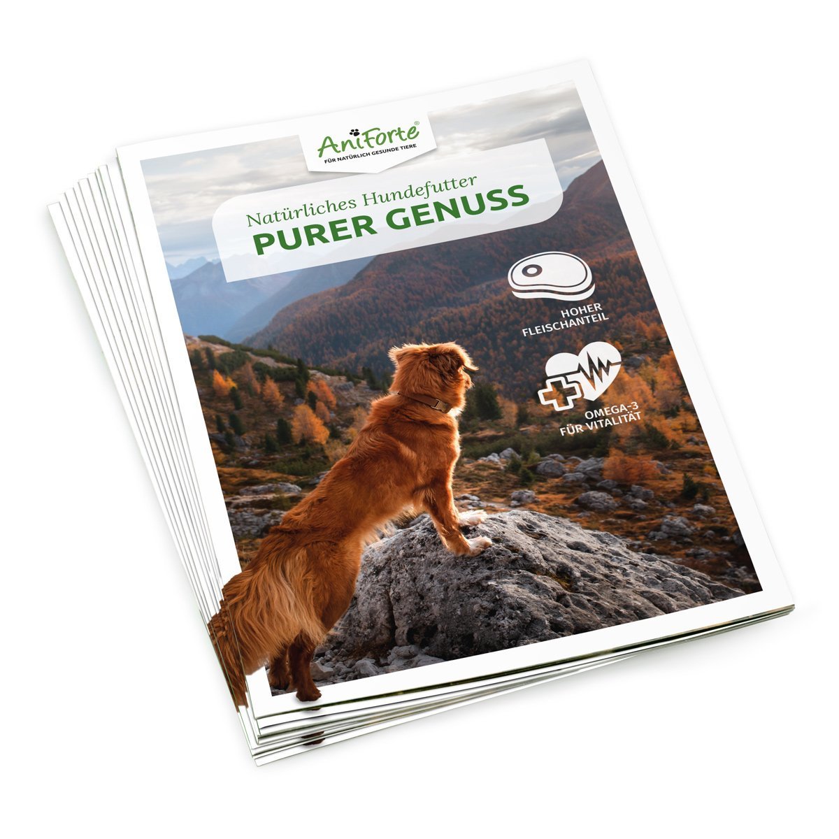 Flyer | PureNature – Naturfutter für Hunde - AniForte