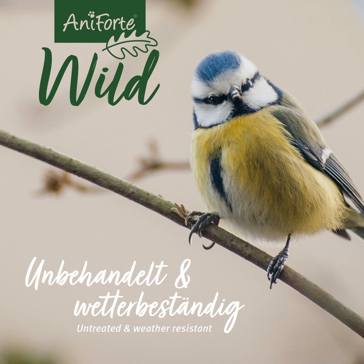 Futterhaus für Wildvögel + 200 g Futter - AniForte