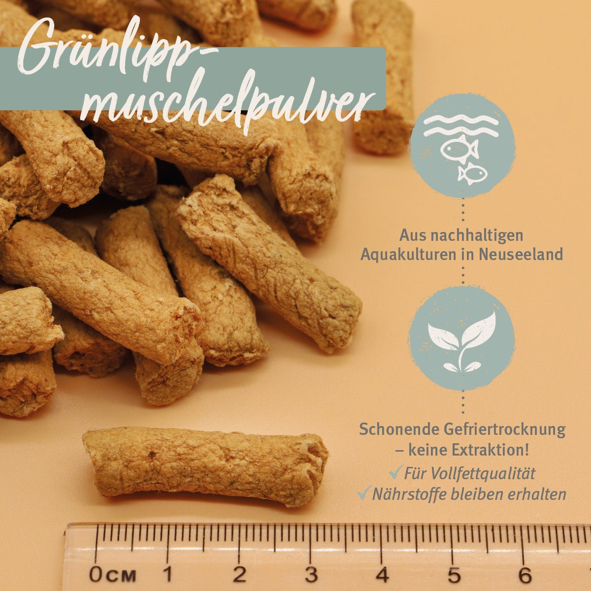 Gelenk-Snack - AniForte