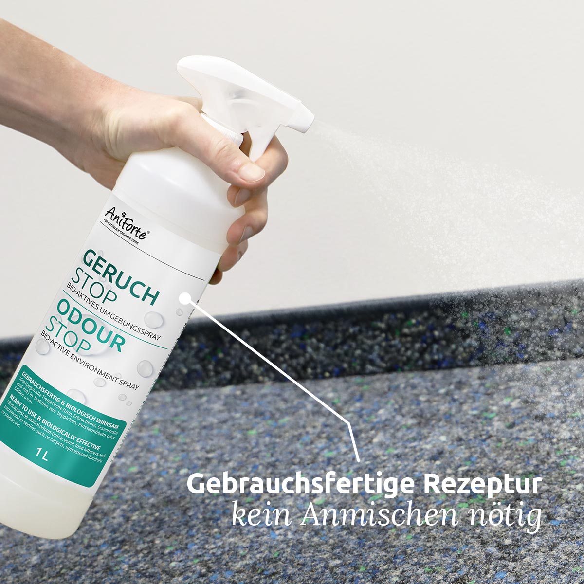 Hagerty Odor Eliminator - Geruchsneutralisierer für ein frisches Zuhause  und unterwegs -  Shop