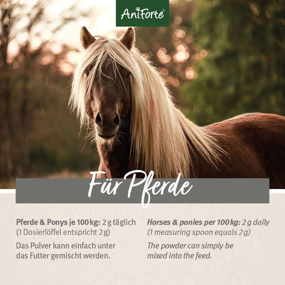Grünlippmuschel Pulver - AniForte
