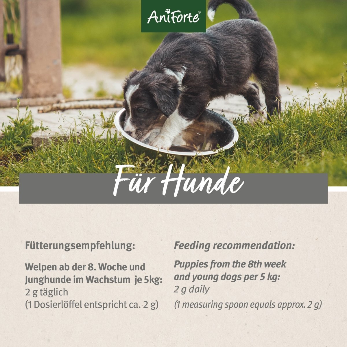 Junior Active - AniForte