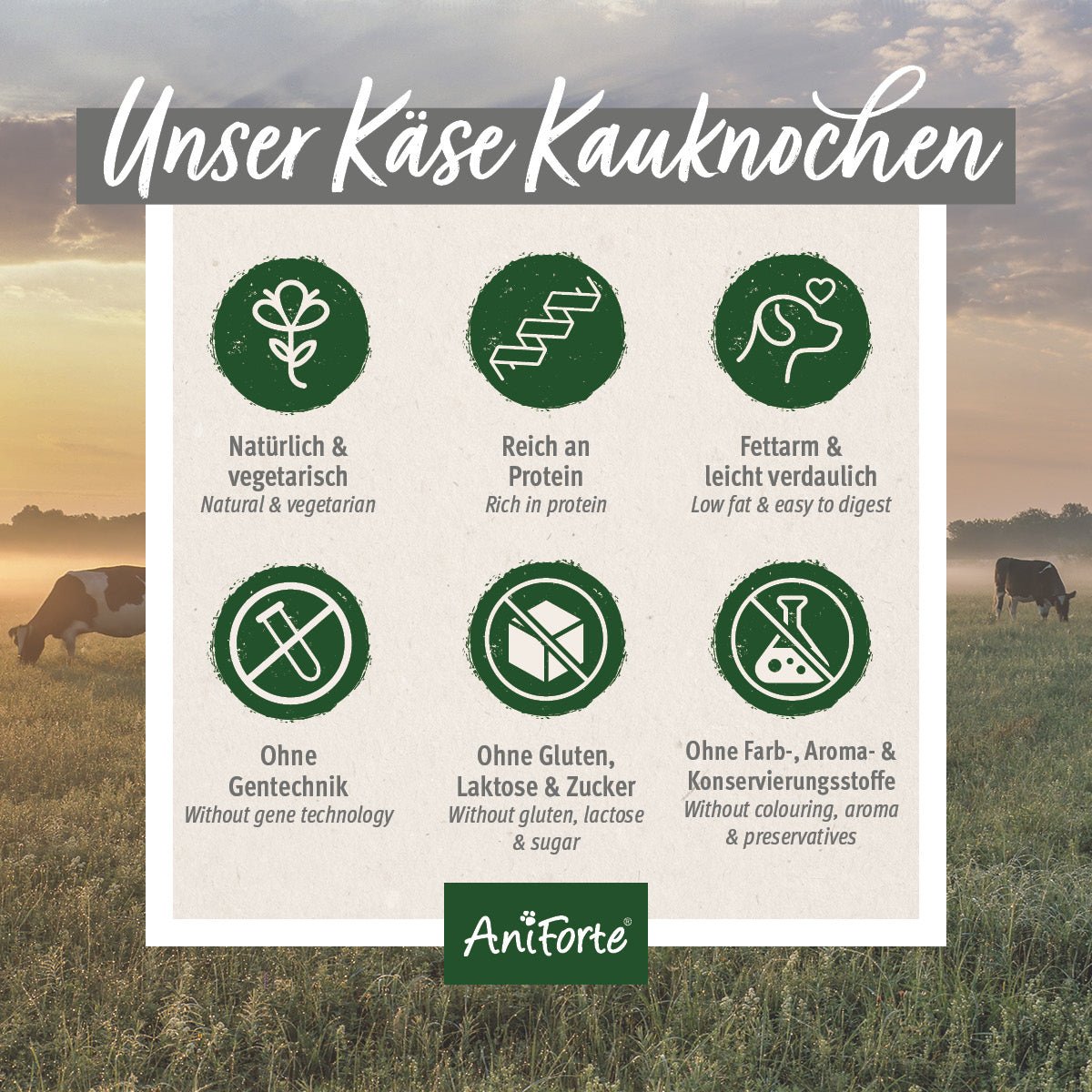 Käse Kauknochen - AniForte