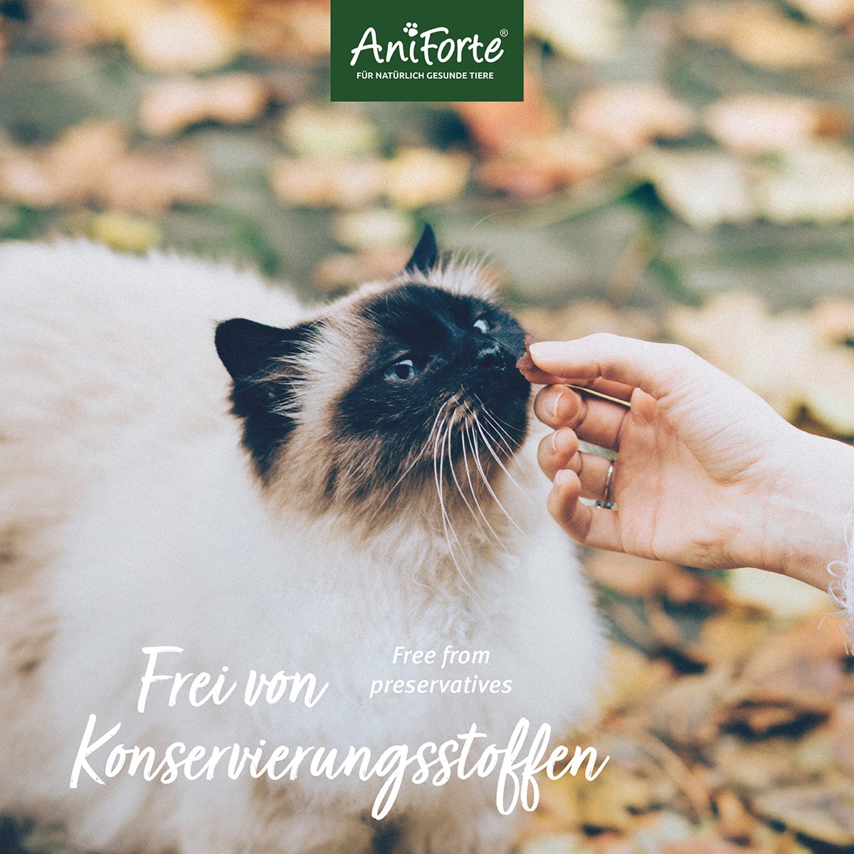 Katzen Snacks Huhn - Too good to go - AniForte