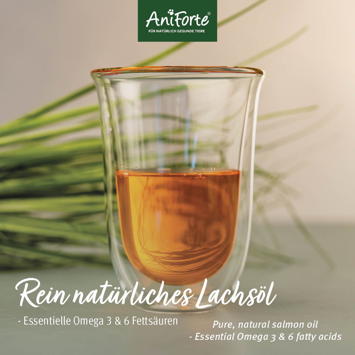 Natürliches Lachsöl mit Omega 3 & 6 - AniForte