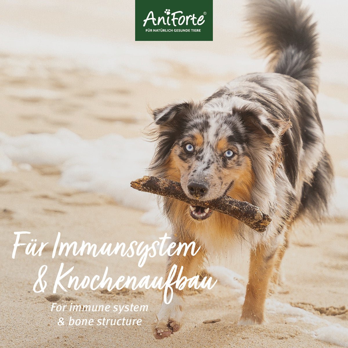 Lebertran - AniForte