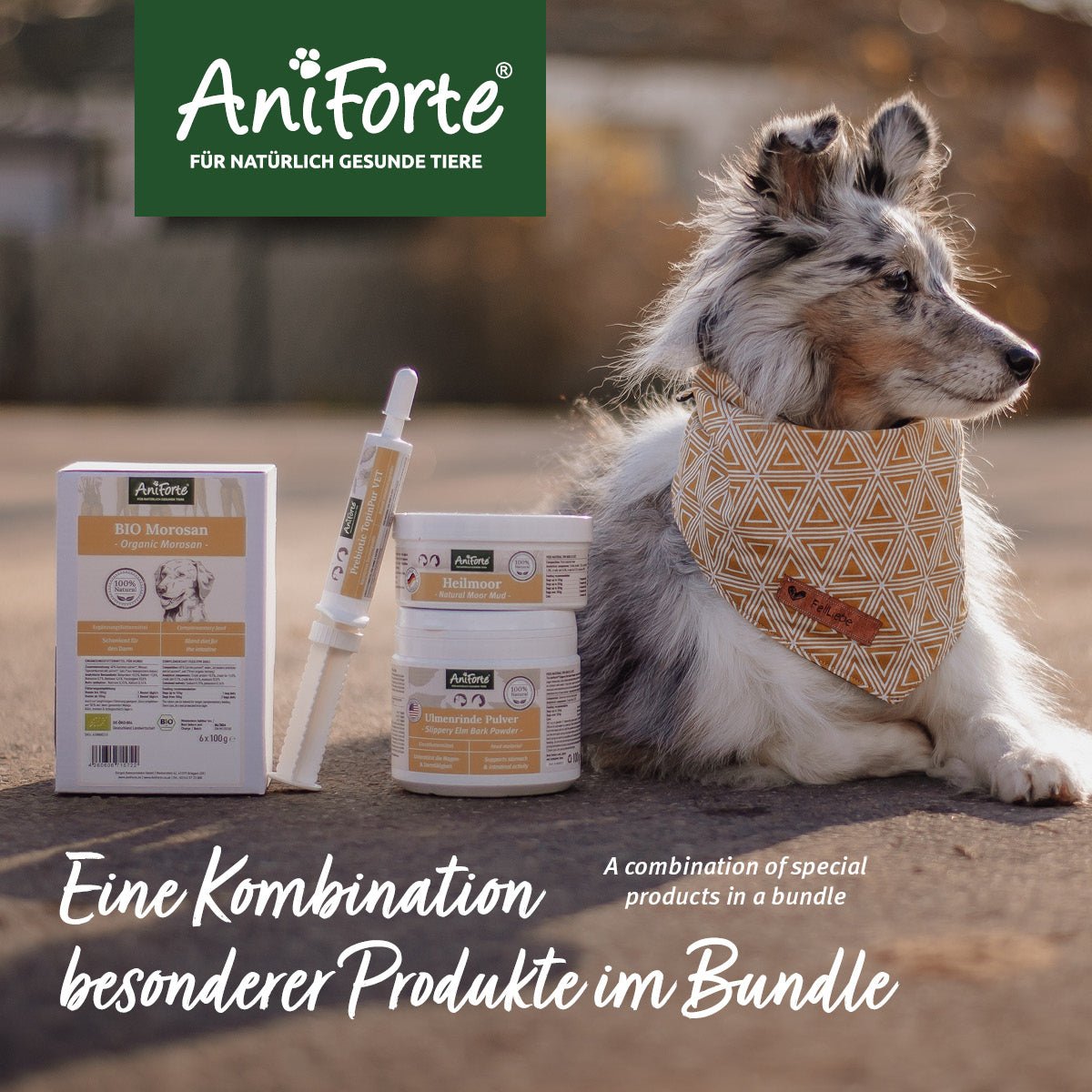 Magen Darm Paket M - AniForte