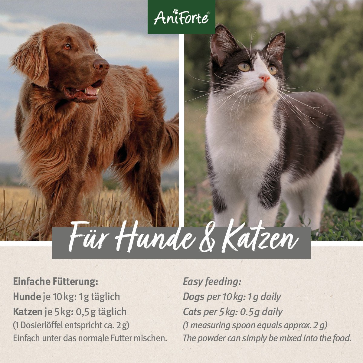 MSM Pulver für Hunde & Katzen - AniForte