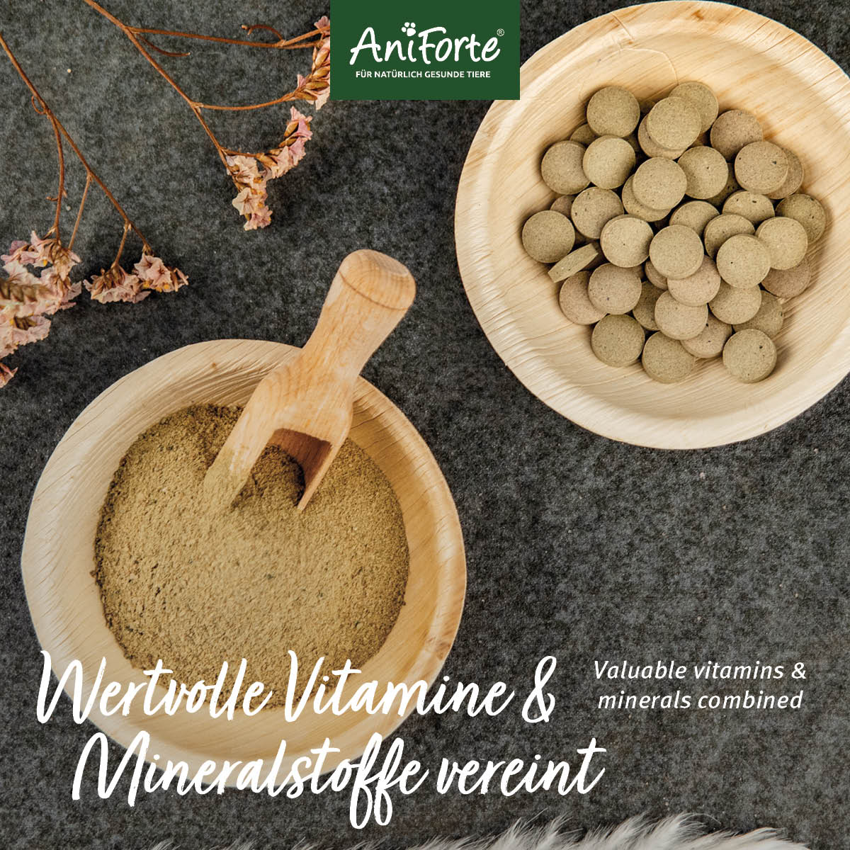 MultiVETAL Tabletten - AniForte