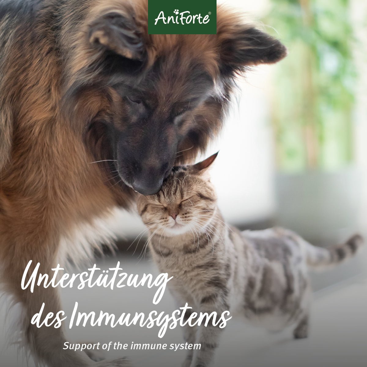 MultiVETAL Tabletten - AniForte