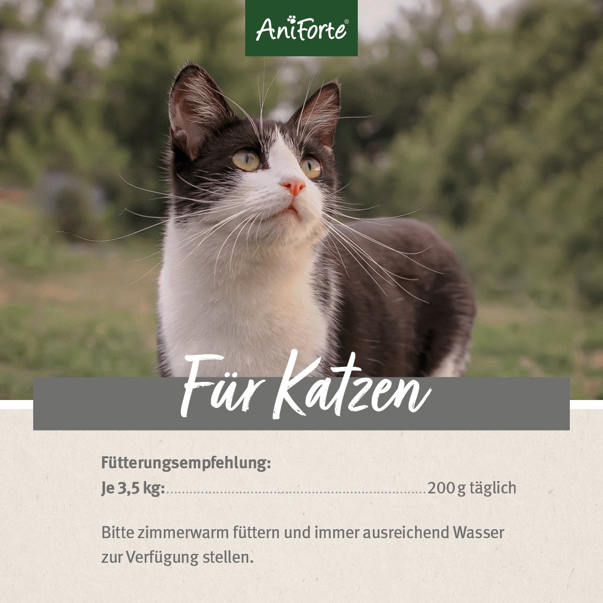 Nassfutter Kaninchen & Truthahn – ehemals WildRabbit - AniForte