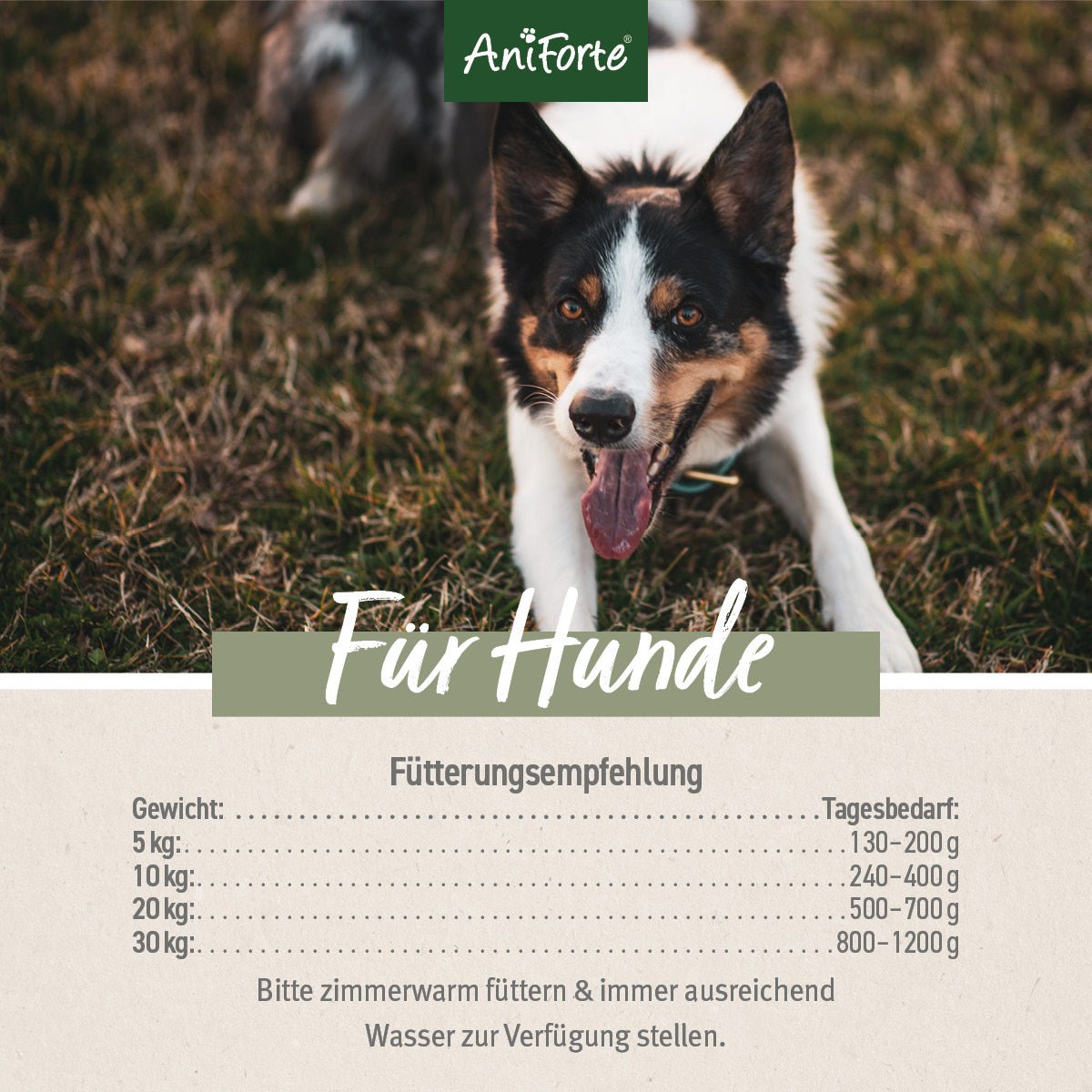 Nassfutter WildForest – 