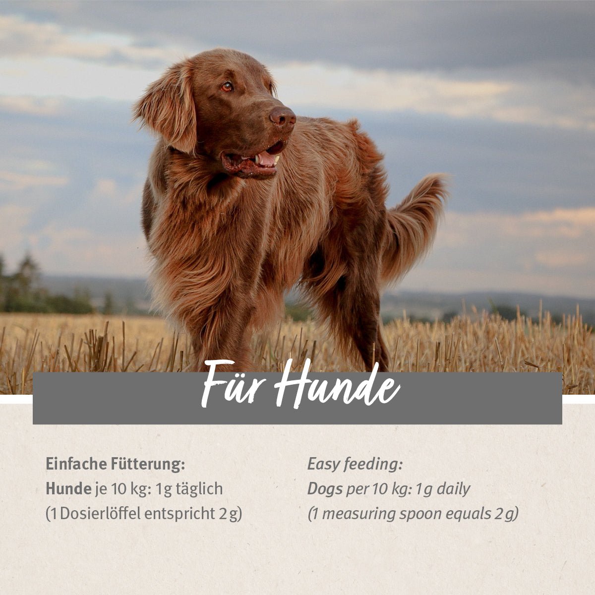 Senior Active - AniForte