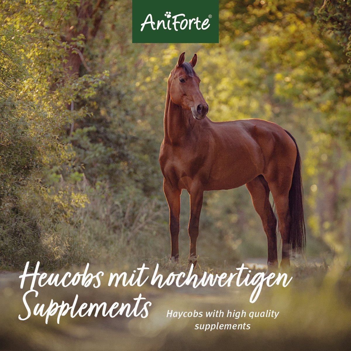 Vitality Cobs Magen - AniForte