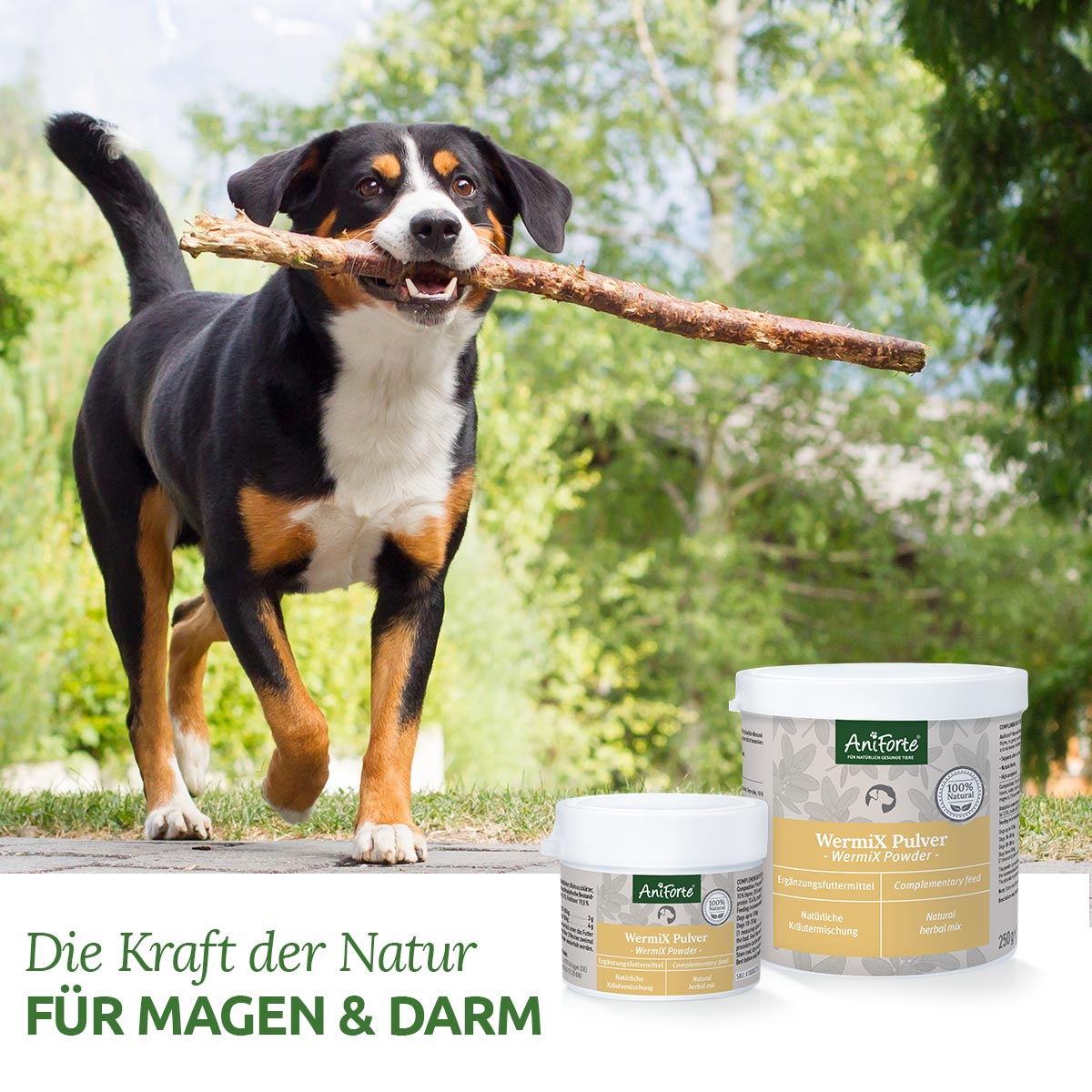 WermiX für Hunde - AniForte